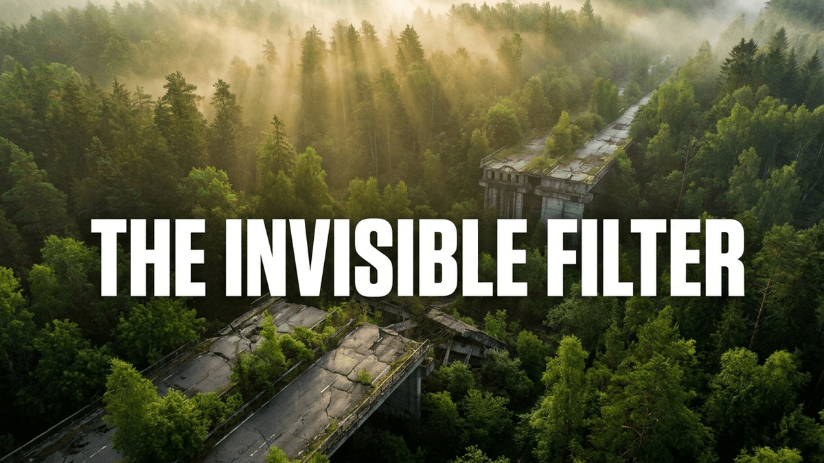 A landscape of abandoned drainage ditches and cracked roads became one of mainland Europe's largest passive rewilding experiments.