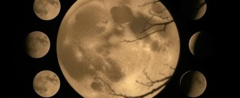Lunar Phases Does the Full Moon affect Trading main image