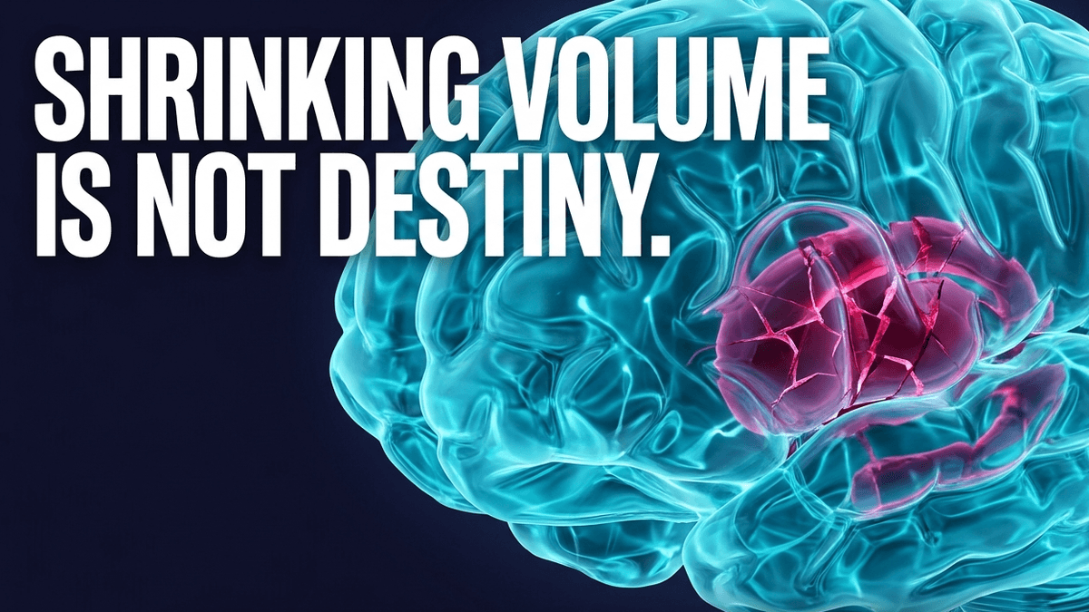 A physically smaller prefrontal cortex can still house a thriving network of synapses. The brain is not a monolith.