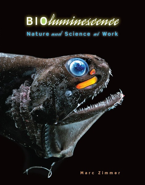 Bioluminescence Nature and Science at Work by Marc Zimmer