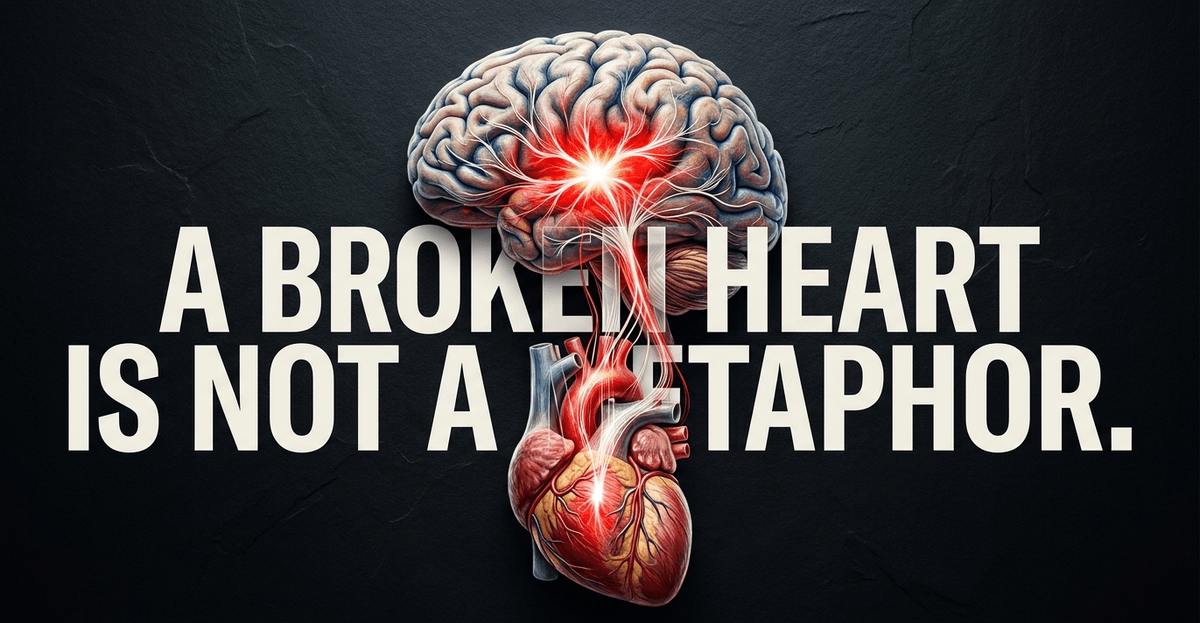Emotional trauma can literally reshape the heart, bridging the gap between poetic grief and clinical cardiology.