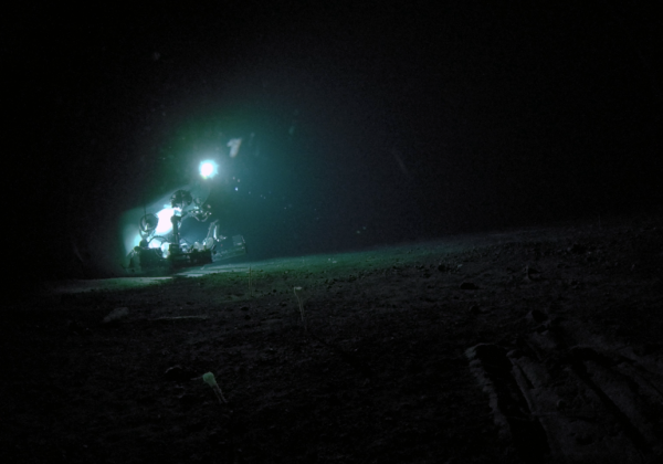 Expedition identifies 38 new species in Japans deep-sea waters