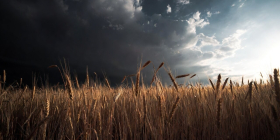 Global food prices rise for third month in a row