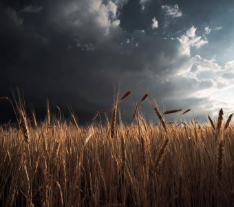 Global food prices rise for third month in a row