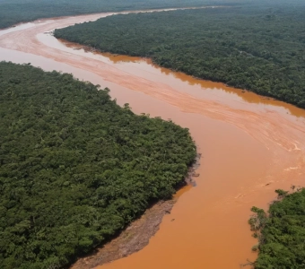 Illegal mining crisis human rights and pollution in Africa