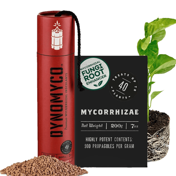 DYNOMYCO Granular Mycorrhizal Fungi Inoculant
