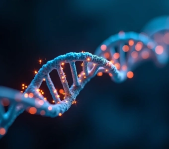 New discovery expands the human proteome by 10
