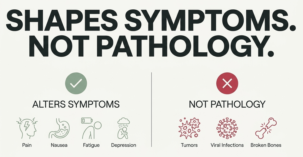 Placebos alter subjective symptom perception but do not cure underlying diseases.