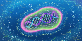 Pond organism breaks universal genetic code rules