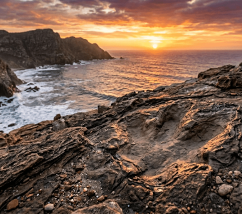 Southern Africa dinosaur tracks rewrite history