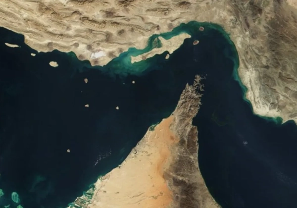 Strait of Hormuz The 2026 global supply chain crisis
