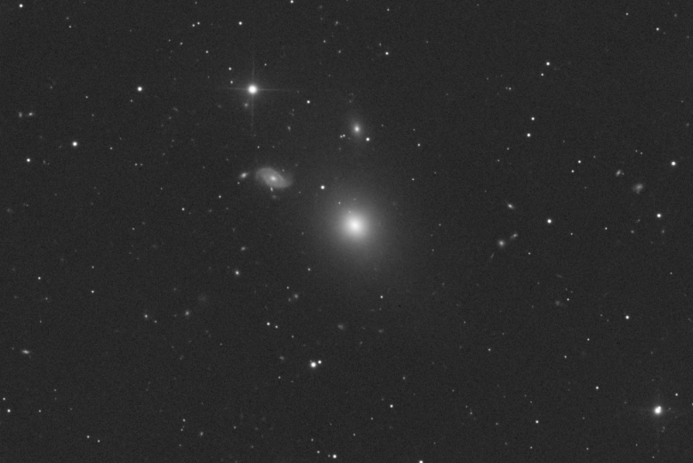 Suupernova SN 2026acd in NGC 2165 - 120-second unfiltered exposures, remotely taken with the "Elena" 