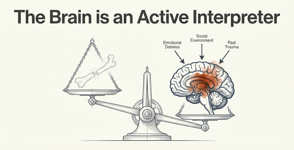 The biopsychosocial model reveals that emotional and environmental factors amplify neural discomfort, shifting clinical focus from a structural cure to holistic management