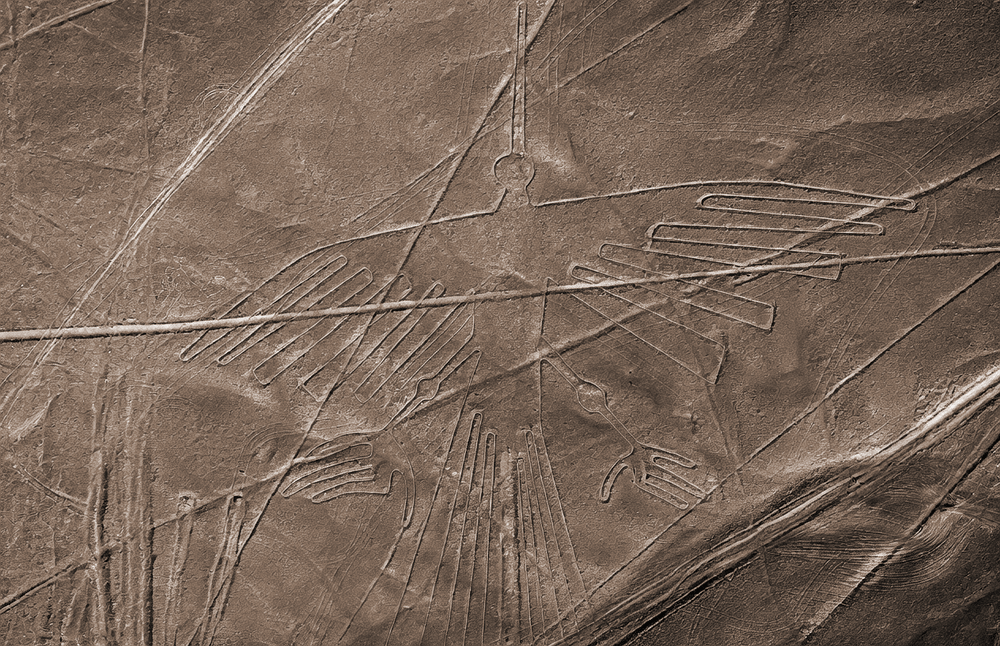 The condor Nazca lines