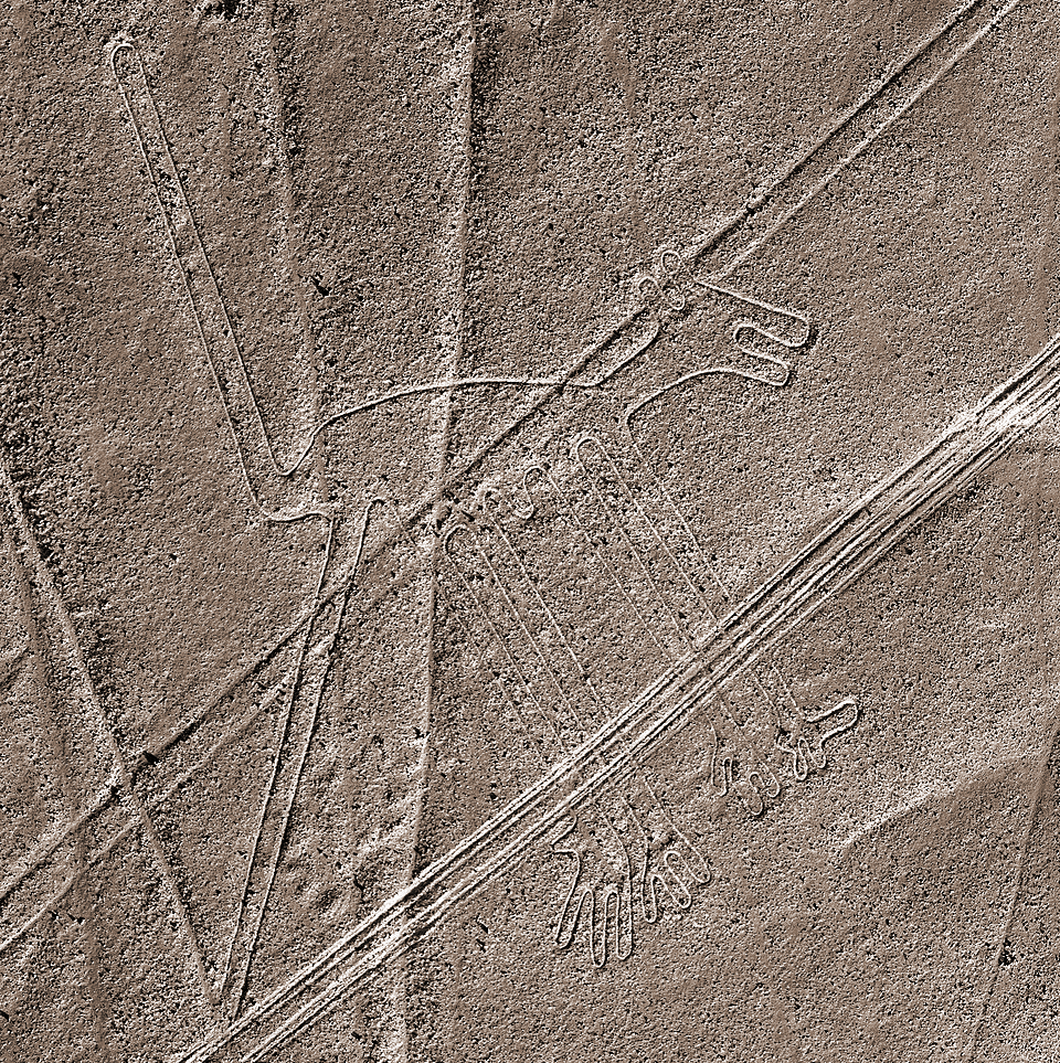 The dog Nazca lines