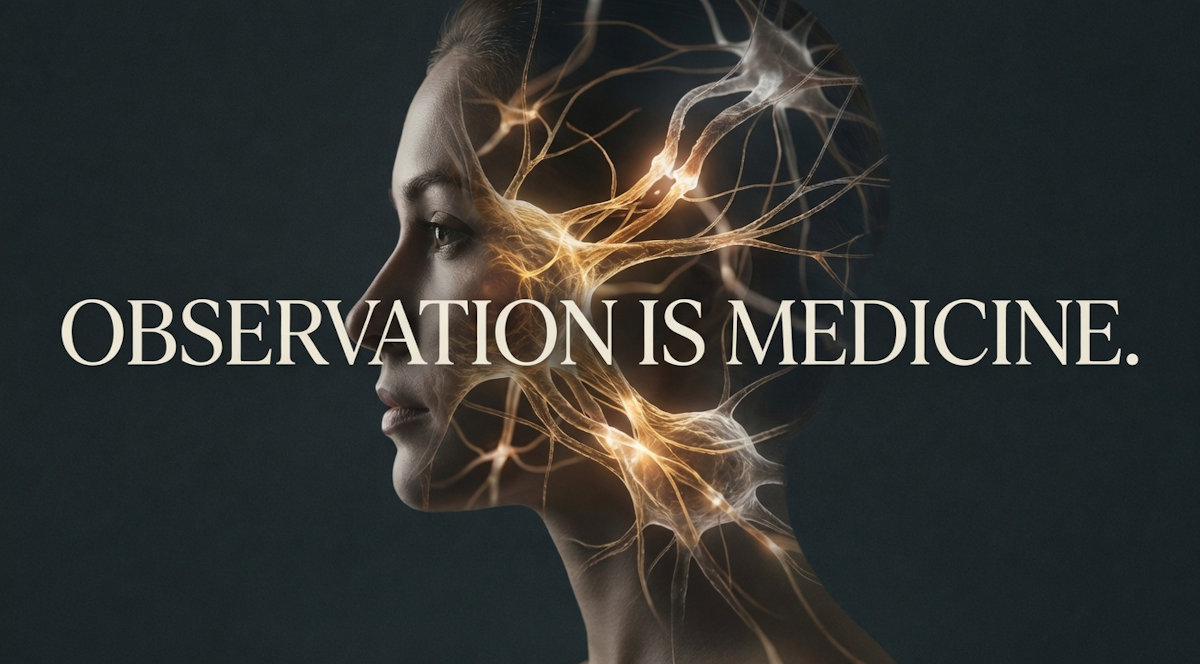 The extended social brain is highly plastic, offering transformative therapeutic potential