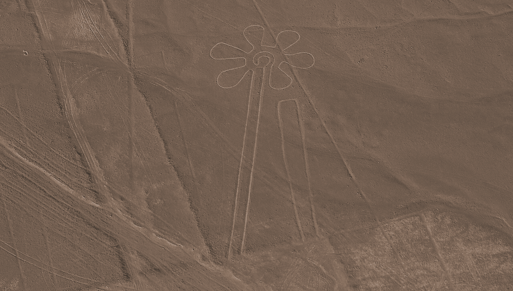 The flower Nazca lines