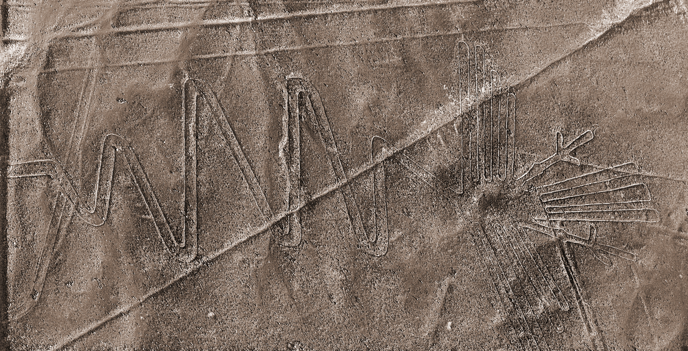 The heron Nazca lines