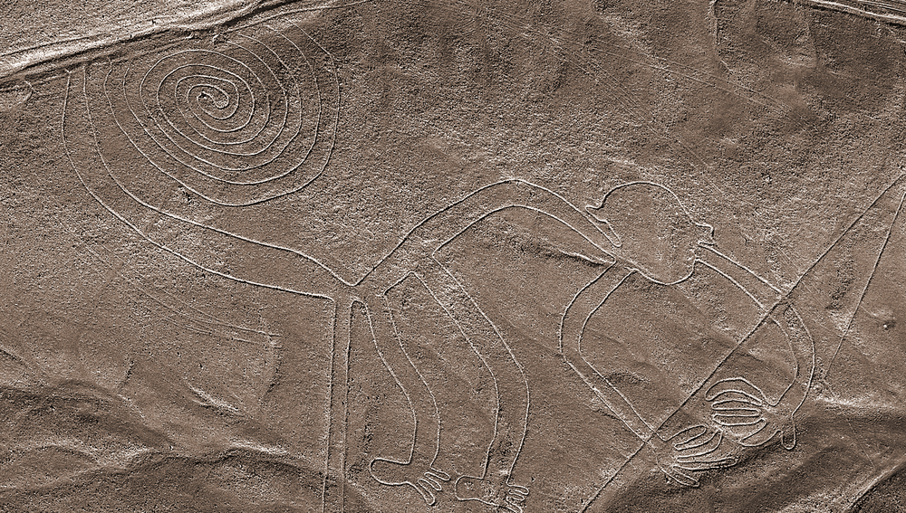 The monkey Nazca lines
