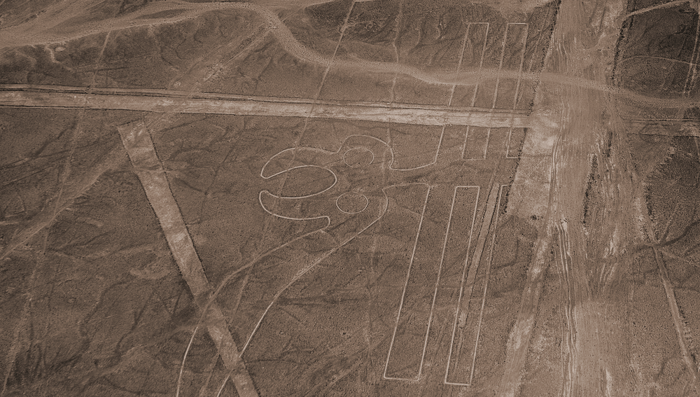 The parrot Nazca lines