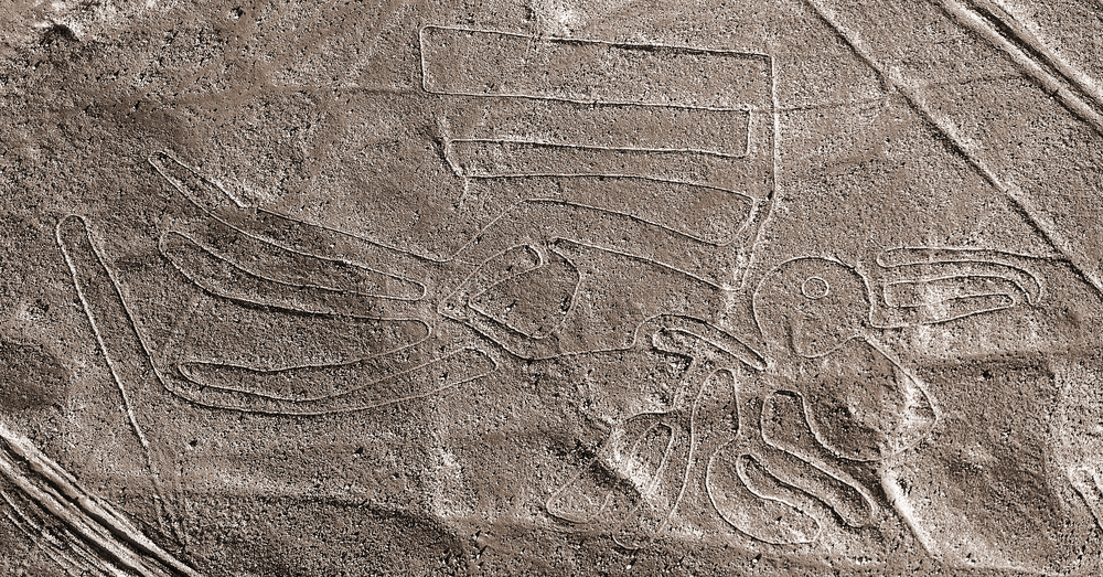 The pelican Nazca lines