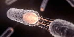 The rising global threat of antibiotic resistance