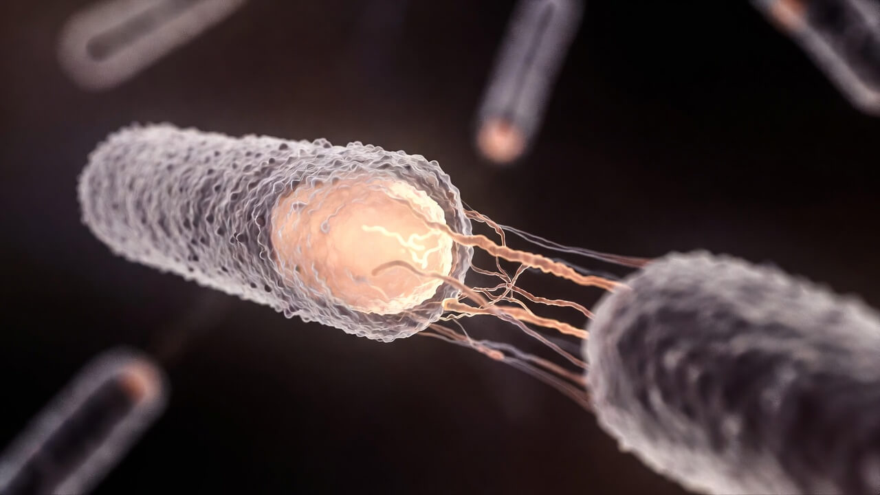 The rising global threat of antibiotic resistance