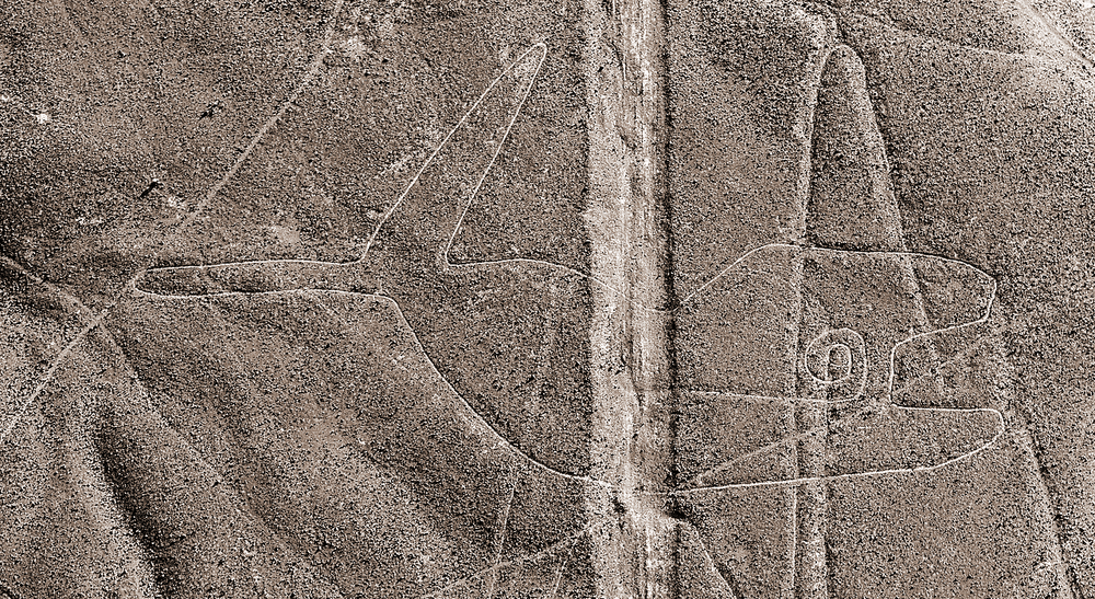 The whale Nazca lines