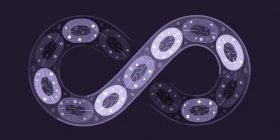 What is autophagy and why it declines with age